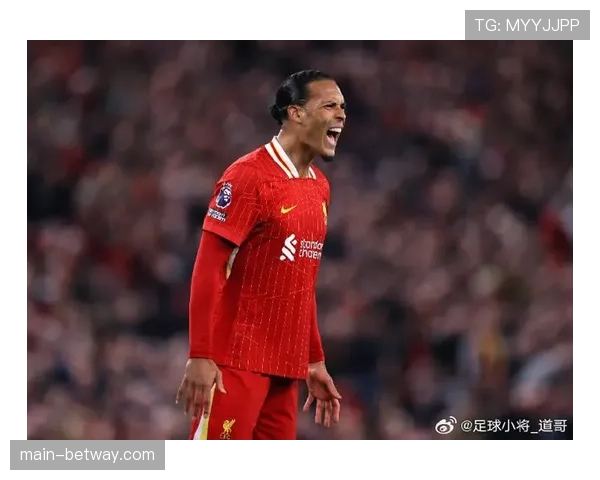 范戴克大赛经验与指挥体系 利物浦中卫在荷兰防线构建中的基石价值